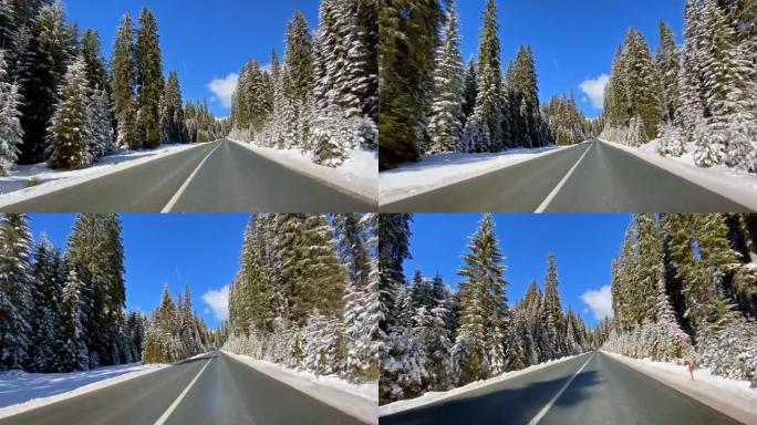 穿越雪白森林的雪乡公路上的驾驶视点