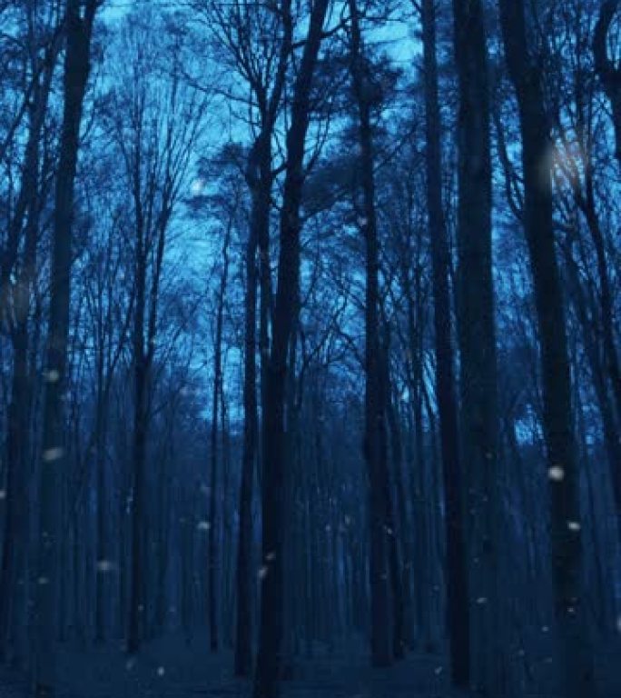 在寒冷的下雪天，在落叶森林的树木之间行走的垂直镜头