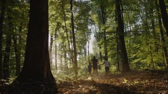有三个孩子的SLO MO家庭在阳光明媚的森林中奔跑