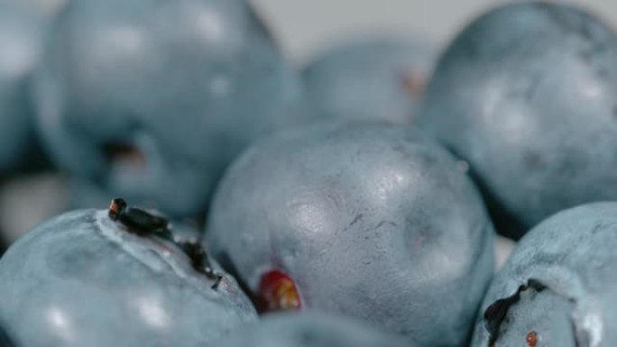 宏观，dop: 少量多汁的有机蓝莓在明亮的光线下闪闪发光。