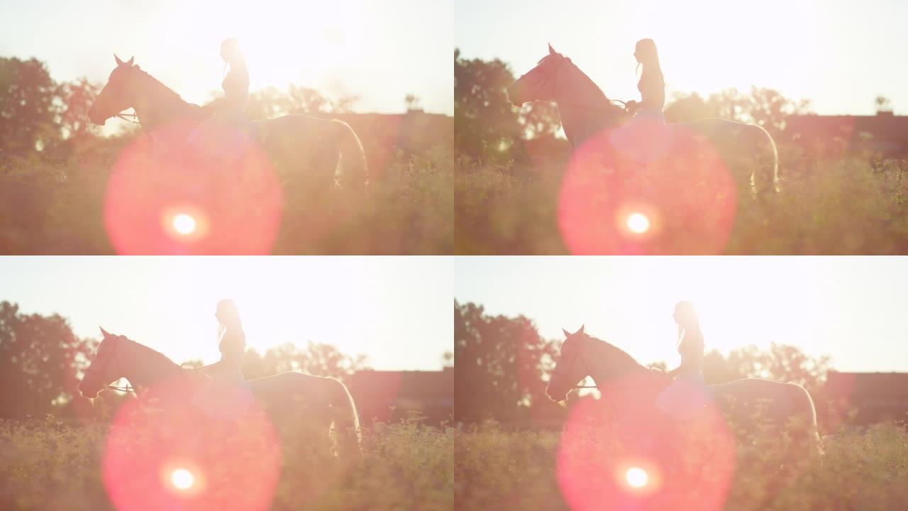 镜头光晕:一名身穿白裙的长发女子骑马的风景镜头。