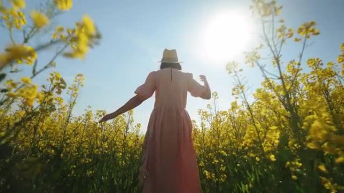 雌性穿过油菜田。