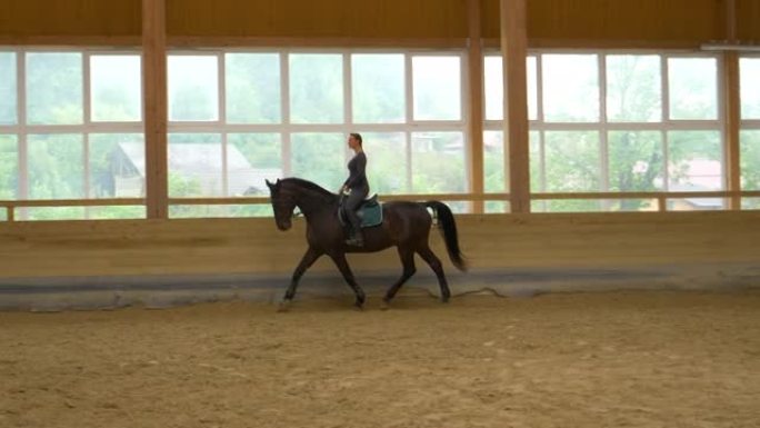 慢动作: 女人在室内骑马使她的深棕色种马变暖。