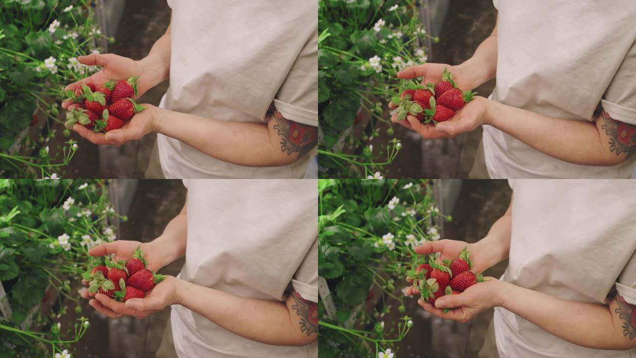 少数草莓