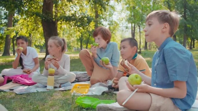 快乐的小学生在公园吃午餐