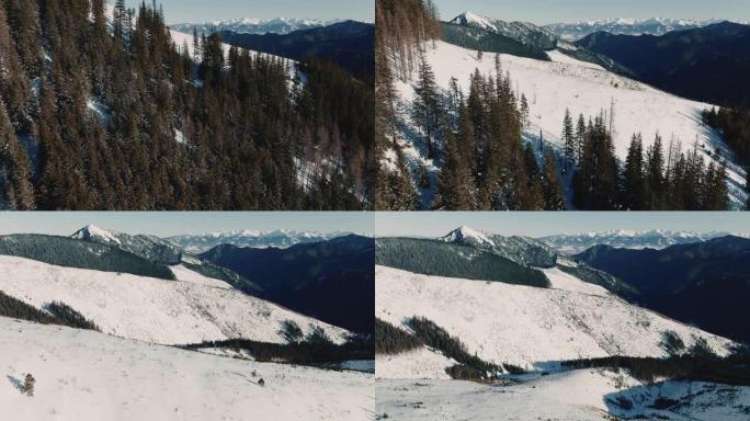 无人机在冬季岩石上靠近森林树木飞行，揭示了雄伟的寒冷积雪覆盖的山脉的惊人风景。