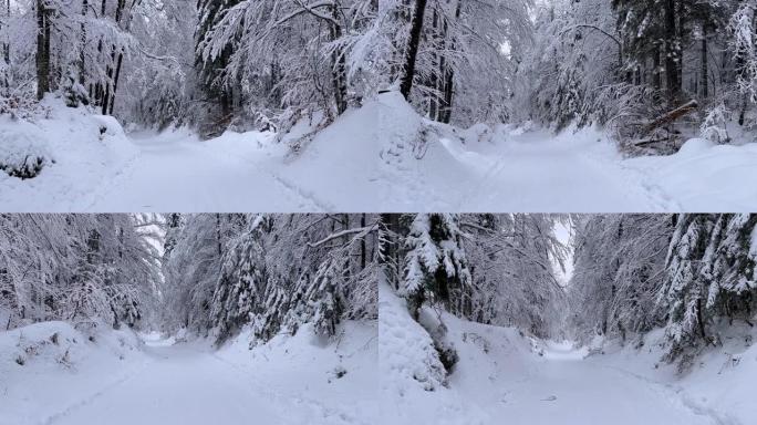 穿越雪白森林的雪道上的旅行视点