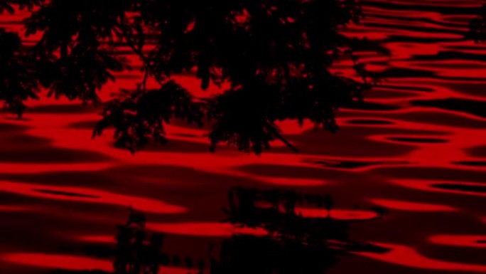 红湖中反射的植物的恐怖景象
