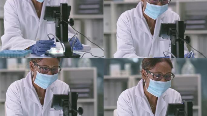 在实验室中使用数字显微镜的成熟科学家的4k视频片段
