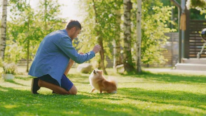 英俊的男人在郊区后院与可爱的小博美犬玩耍，训练，教技巧和命令。阳光明媚的日子，绿草与人类最好的朋友一