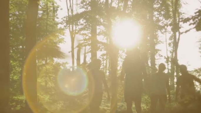 SLO MO一家带着三个孩子在阳光明媚的森林中散步