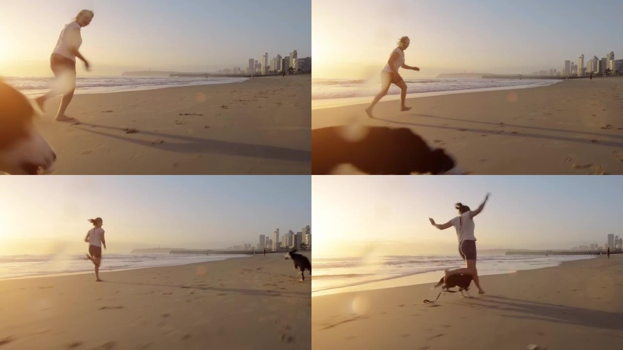4k视频片段，一个女人在日落时与狗在海滩上玩耍