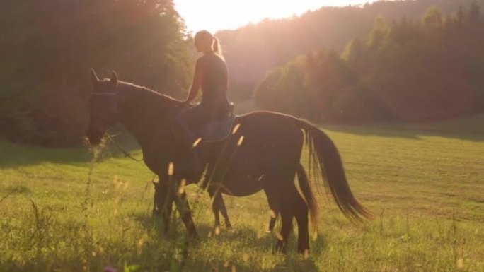 镜头耀斑: 女骑手停在林间空地中，让她的马吃草