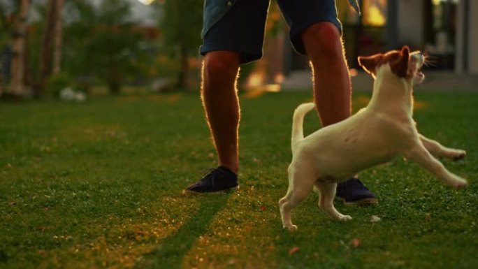 男人和他的杰克罗素梗狗在户外玩耍。他用他最喜欢的玩具抚摸和戏弄他的小狗。田园诗般的避暑别墅。黄金时段
