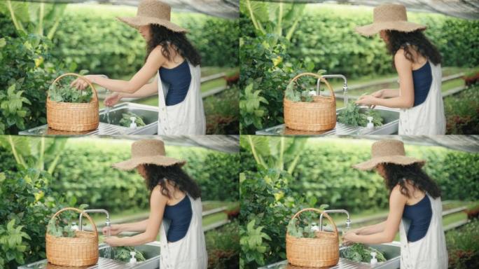 亚洲妇女在自己的家中采摘蔬菜