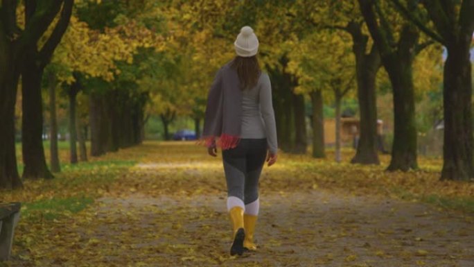 垂直: 面目全非的女人沿着风景秀丽的秋天彩色大道漫步。
