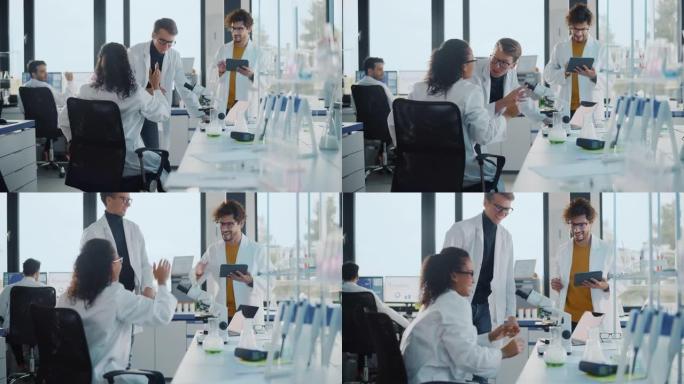 医学科学实验室: 美丽的黑人科学家在显微镜下观察，发现新药化合物，击掌并与同事庆祝。年轻的专家，从事