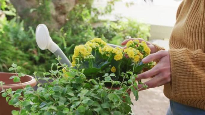 高加索妇女的中段在阳光明媚的花园中重新种植黄色花朵