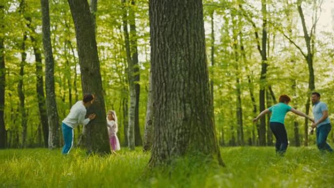SLO MO家族在绿色森林的树木中玩乐