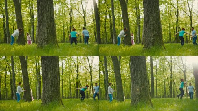 SLO MO家族在绿色森林的树木中玩乐