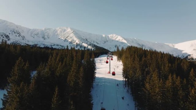 红色滑雪场的空中拍摄升降机在茂密的树木中上下移动，露出阳光明媚的白雪皑皑的山脊。