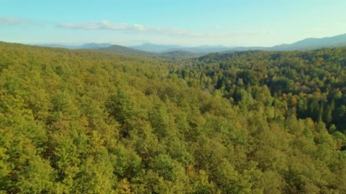 空中: 秋天色彩覆盖着森林的丘陵景观的绝妙景色