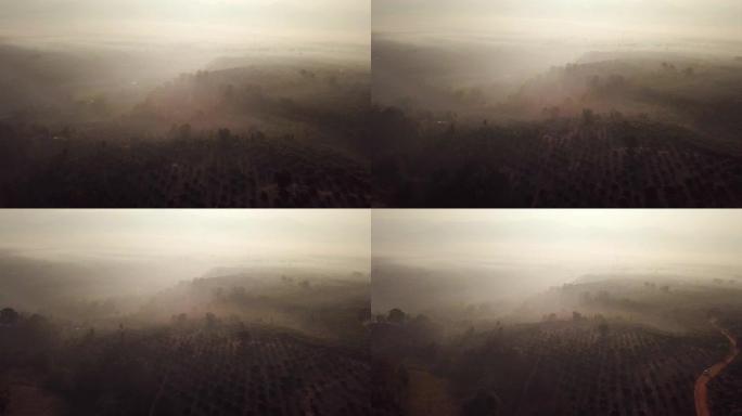 早晨，迷雾笼罩森林的鸟瞰图