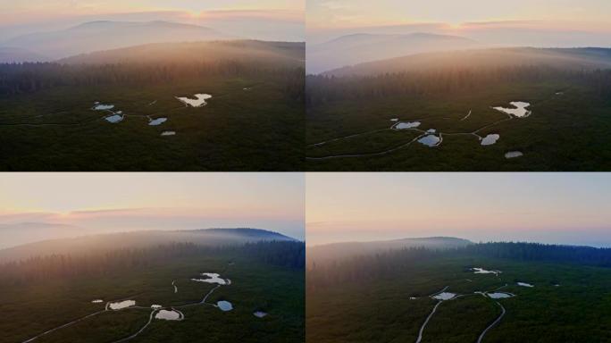 日落时森林中央的空中湖泊