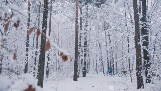 夫妇骑着自行车穿越冰雪覆盖的森林。