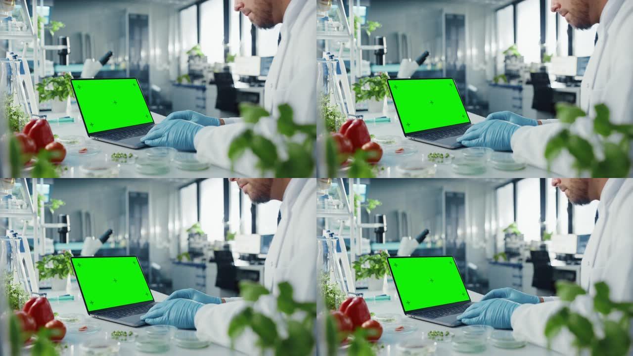 在带有绿屏模拟显示的笔记本电脑上工作的男性科学家。微生物学家是拥有先进技术设备的明亮现代食品实验室中