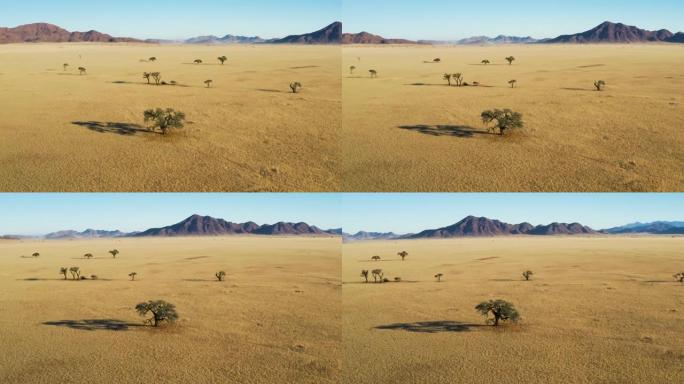 风景秀丽的纳米布沙漠的壮观鸟瞰图