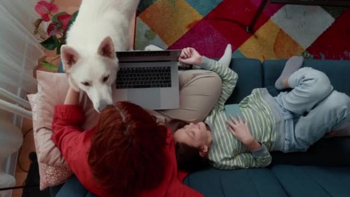 用笔记本电脑和可爱的十几岁的孩子和白狗一起玩，用仿生腿的快乐残疾母亲的田园诗般的俯视图。