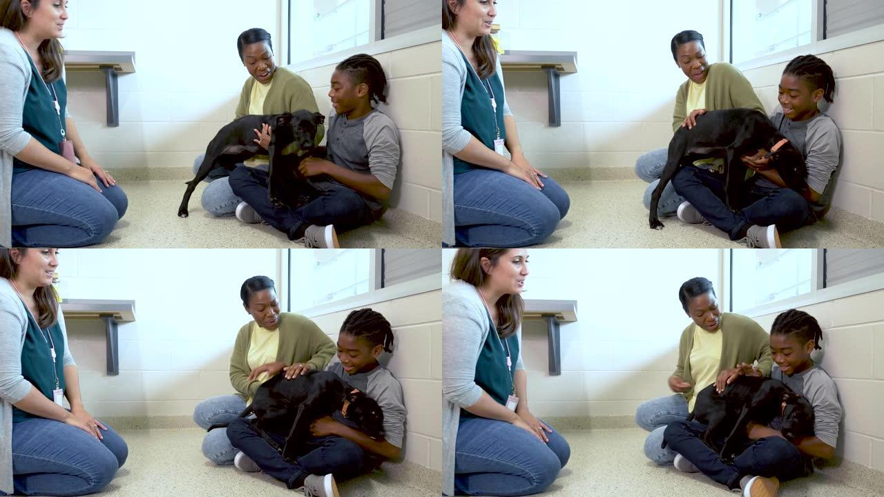 动物收容所的志愿者帮助家人收养狗