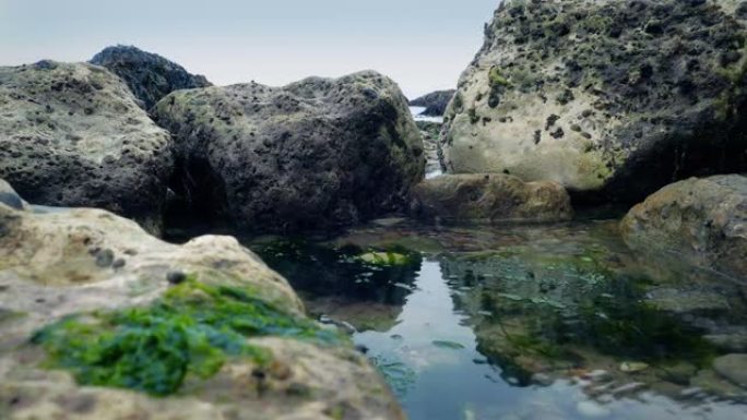 海边的岩石池移动镜头