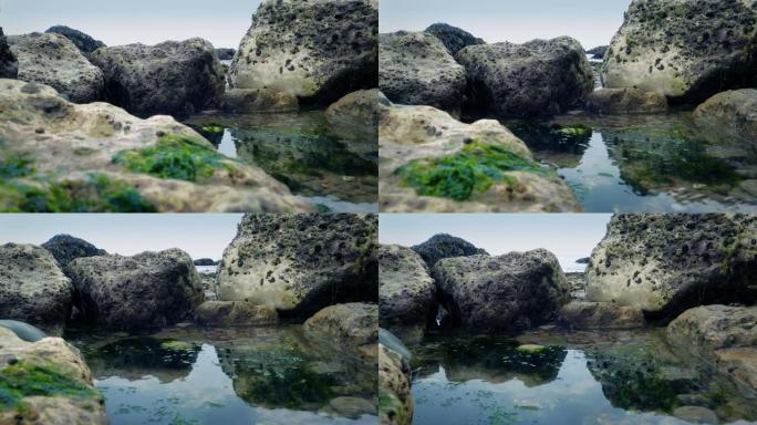 海边的岩石池移动镜头