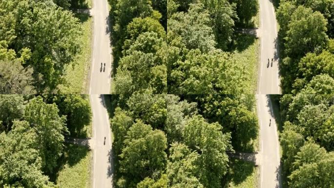 空中两个骑自行车的人在穿过森林的道路上骑自行车