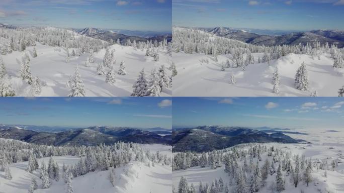 卡姆尼克-萨维尼亚阿尔卑斯山的无人机田园诗般的冬季场景