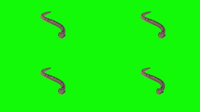 绿色背景上的滑翔蛇。动物的概念，野生动物，游戏，返校，3d动画，短视频，电影，卡通，有机，色键，人物
