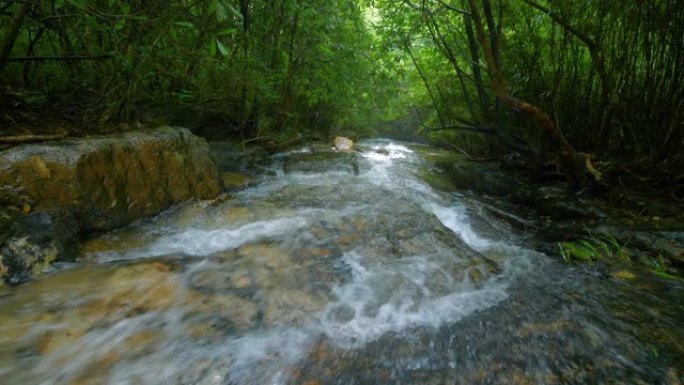 森林中的溪流山泉水森林溪流纯净水源