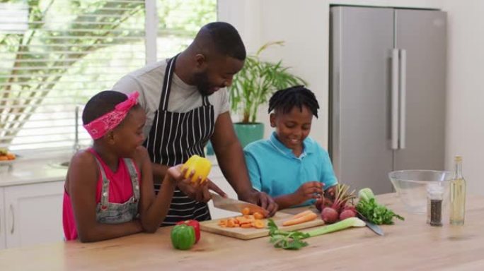 非裔美国人父亲和孩子在家里的厨房里切蔬菜