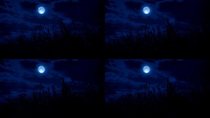 夜晚有月亮的野草场
