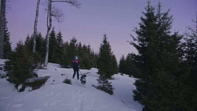 SLO MO女人在黎明时带着她的狗在雪坡上奔跑