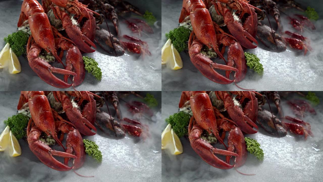 4K UHD: 在黑色背景上近距离倾斜加拿大龙虾和小龙虾，并带有冰冻的冰冷烟雾。新鲜豪华海鲜和菜单食