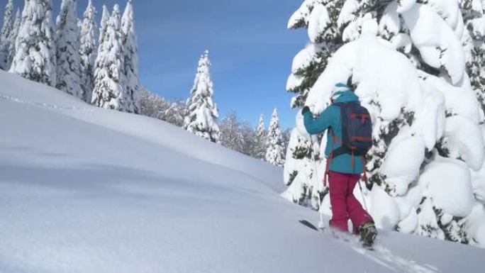 复制空间: Bohinj的妇女分裂跋涉在山上覆盖着新鲜的雪。