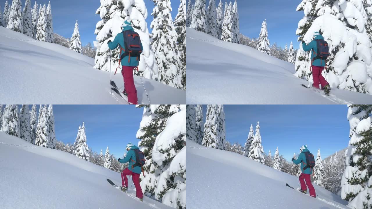 复制空间: Bohinj的妇女分裂跋涉在山上覆盖着新鲜的雪。