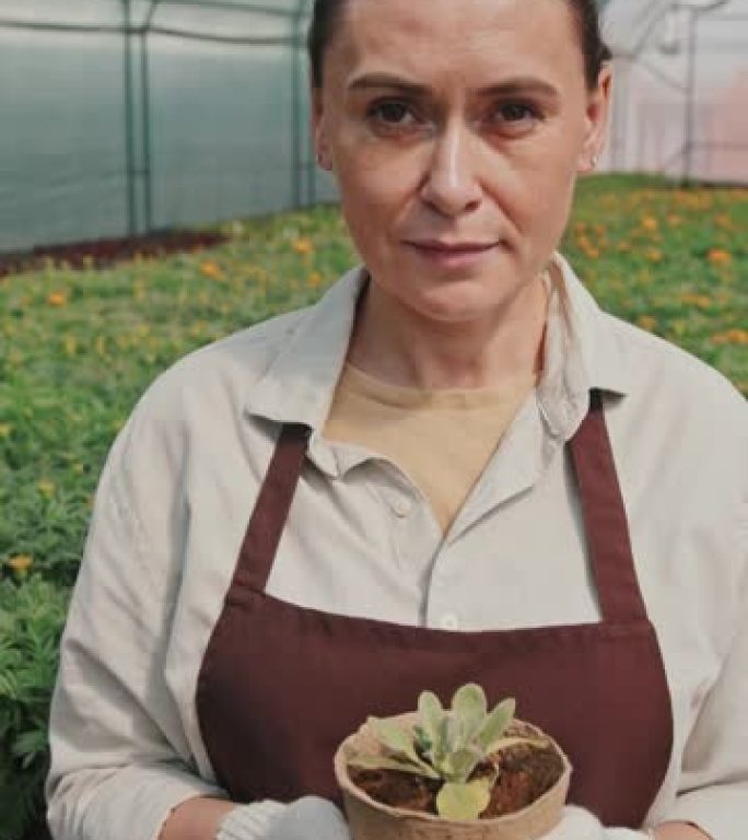 盆栽的女人的肖像外国人视频素材种植培育