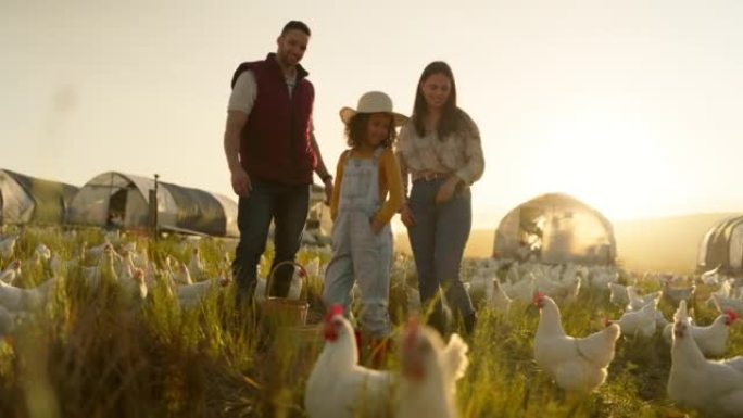 在养鸡场，家禽农业领域或巴西可持续发展环境中建立母亲，父亲或孩子的关系。微笑，快乐和农民的家庭与鸟类