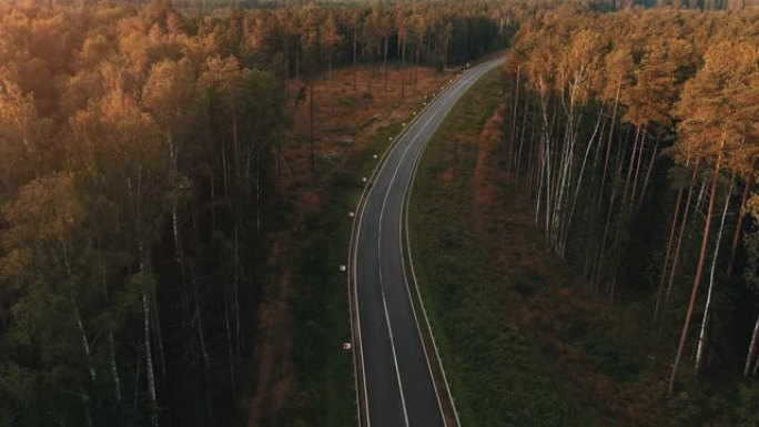 日落时森林里的路。航拍视频