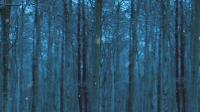 在寒冷的下雪天穿越森林的垂直镜头