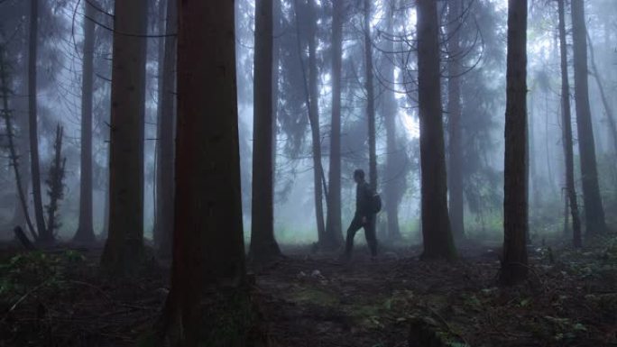 在雾森林中行走的人
